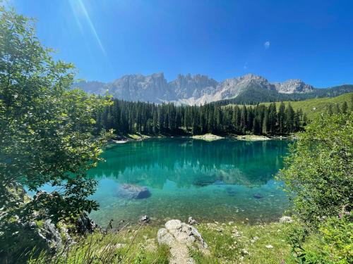 a blue lake with trees and mountains in the background at Bar-Restaurant-Pizzeria Antermont B&B in Carezza al Lago