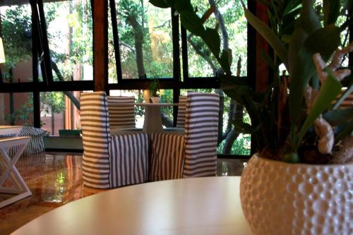 a table with a potted plant on top of it at Hotel Beaurivage in Fano