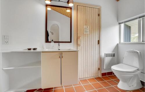 a bathroom with a toilet and a sink and a mirror at Holiday Home Tingodden Denm I in Hvide Sande