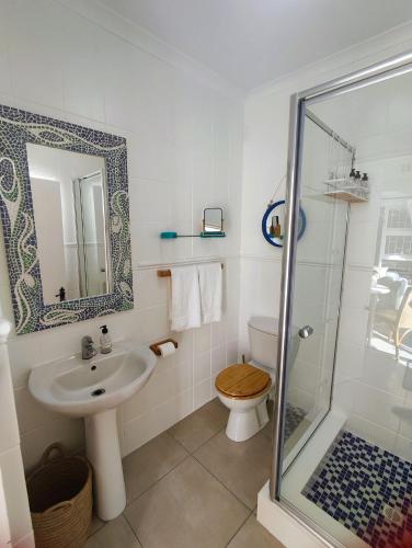 a bathroom with a sink and a toilet and a shower at Squirrels Nook Cottage Constantia in Cape Town