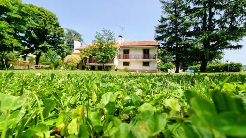 Fotografie z fotogalerie ubytování Villa Anna v Terstu