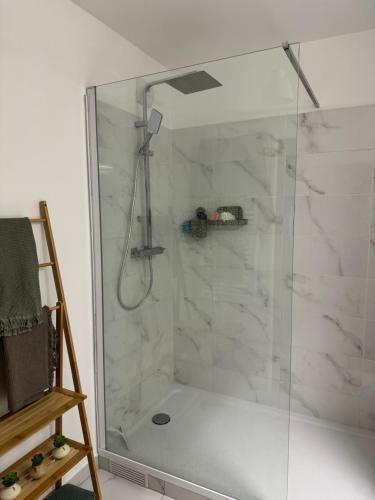La salle de bains est pourvue d'une douche en verre. dans l'établissement Appartement Cosy, proche Stade de France, à Saint-Denis