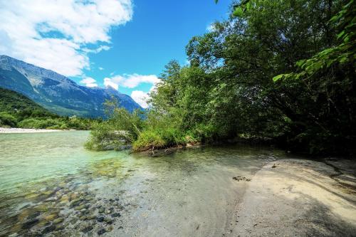 Gallery image of Adrenaline Check Camping in Bovec