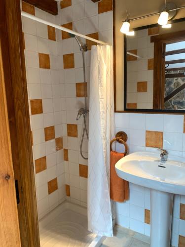 a bathroom with a sink and a shower at Apartamento Rustico El Cerezo in Lubayo
