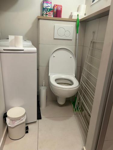 une petite salle de bain avec toilettes et lavabo dans l'établissement 1 BDR Cosy Parisian Appartment, close to Marais (Paris 11ème), à Paris