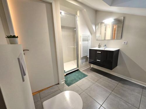 une salle de bain avec toilettes, lavabo et douche dans l'établissement Sous les toits dans les nuages, à Dax