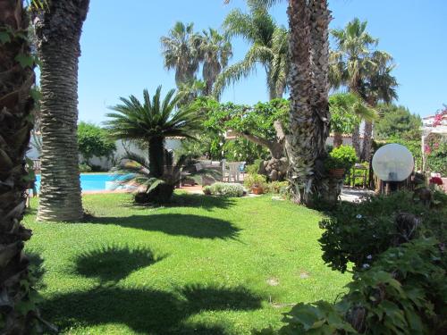a yard with palm trees and a swimming pool at Sole e Sale B&B in San Cataldo
