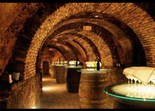 a wine tasting room with a bunch of wine barrels at Mi Rincon in San Rafael