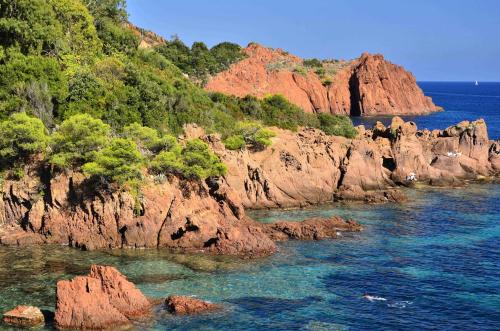 a rocky shore with trees and the water at Loup Castel Boutique Hotel B&B in Le Bar-sur-Loup