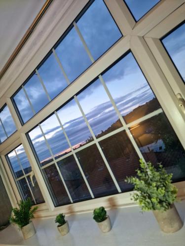 a room with a large window with two potted plants at Free Parking at this Stylish Terraced House in Bradford, with views of hillside in Shipley