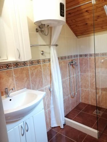 a bathroom with a sink and a shower at Cosy Apartment Sea View in Kumbor in Kumbor
