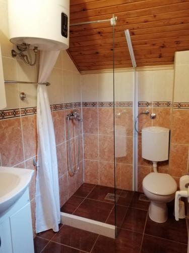 a bathroom with a shower with a toilet and a sink at Cosy Apartment Sea View in Kumbor in Kumbor