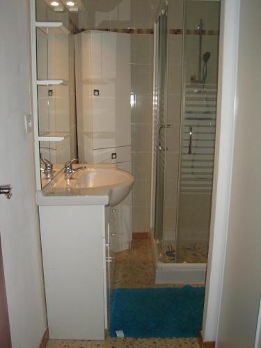 une salle de bain avec un lavabo et une douche dans l'établissement STUDIO VALRAS Plage, à Valras-Plage