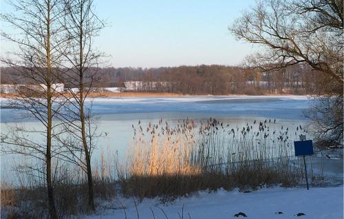 a frozen lake with some grass in the snow at Nice Home In Krems Iiwarderbrück in Göls