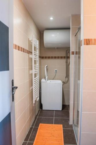 une salle de bain avec une douche, des toilettes et un lavabo dans l'établissement Gîte L'Ecole d'Antan 5/6 personnes, à Chanac