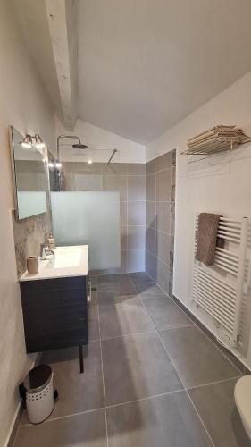 une salle de bain avec un lavabo et une douche dans l'établissement Bastide Saint Jean Baptiste, à Baudinard