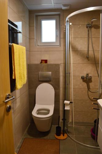 a small bathroom with a toilet and a shower at Apartman Ras in Vrnjačka Banja