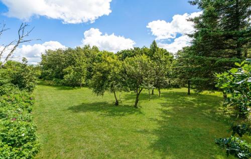 a field of grass with trees and clouds in the sky at Beautiful Home In Spøttrup With Kitchen in Spottrup