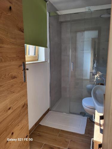 a bathroom with a shower with a toilet and a sink at Ferienhof Müller Vorderburg in Vorderburg