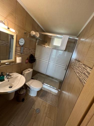 a bathroom with a shower and a toilet and a sink at Kallithea in Iraklitsa