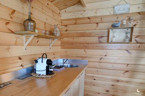 a kitchen with wooden walls and a counter with a sink at Les Pins Perdus in Saint-Ciers-dʼAbzac