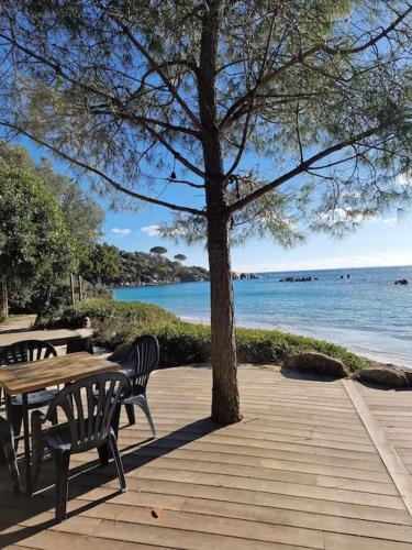 Superbe studio 150m plage Santa Giulia