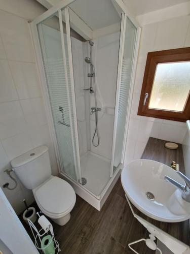 une salle de bain avec une douche, des toilettes et un lavabo dans l'établissement Superbe studio 150m plage Santa Giulia, à Porto-Vecchio