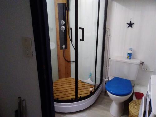 La petite salle de bains est pourvue d'une douche et de toilettes. dans l'établissement GRUISSAN - T2 Climatisé, Piscine, Tennis, Proche Plage et Commerces, 4/5 pers - FR-1-796-4, à Gruissan