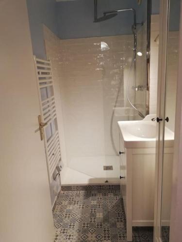 une salle de bain avec douche et lavabo dans l'établissement Grand studio 34 m2 à Villard de Lans proche Centre, à Villard-de-Lans
