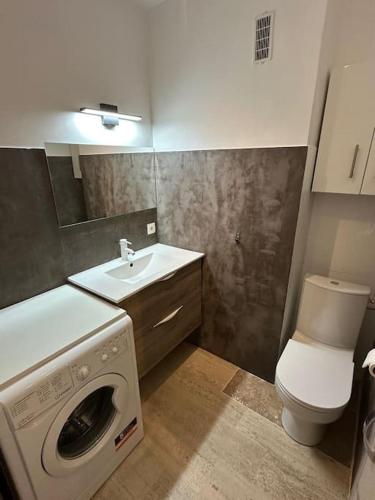 une salle de bain avec une machine à laver et un lavabo dans l'établissement Appartement Cannes quartier des Anglais, à Cannes