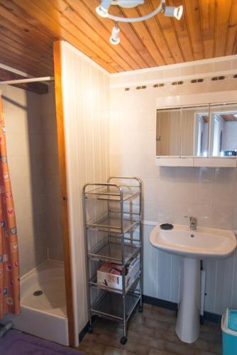 une salle de bain avec un lavabo et une douche dans l'établissement Gîte Gîtes de France 4/6 personnes aux Laubies, à Saint-Étienne-du-Valdonnez