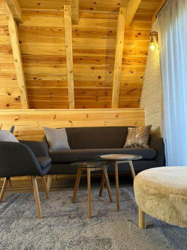 a living room with a couch and a table at Monte zone in Žabljak