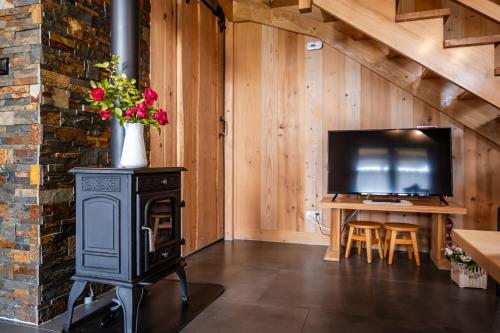 a living room with a wood stove and a television at HRYCÓWKA Domki z Widokiem in Grywałd