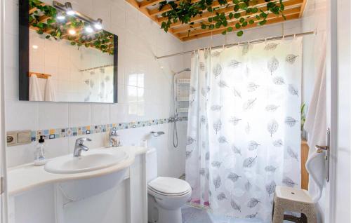 a bathroom with a toilet and a sink and a shower at 4 Bedroom Awesome Home In Chantada in Chantada
