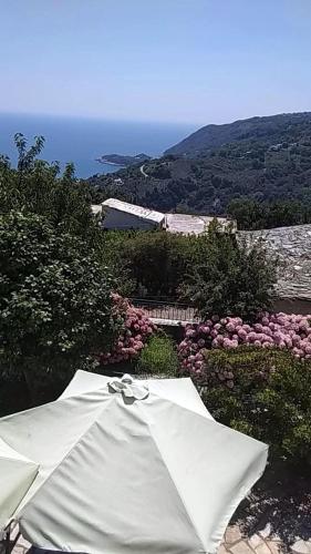 a white umbrella sitting on a patio with flowers at Villa Zina in Pelion in Agios Dimitrios