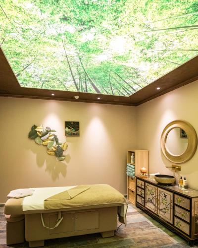 Gallery image of Hotel Foisorul cu Flori Leisure & SPA in Sinaia
