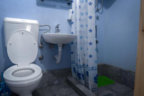 a bathroom with a toilet and a sink at Rafting Camp Tara Center Tri Vodenice in Bastasi