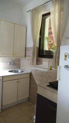 a kitchen with a sink and a refrigerator and a window at Tina in Tekija