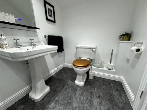 Ένα μπάνιο στο Penny Red apartment in Kington