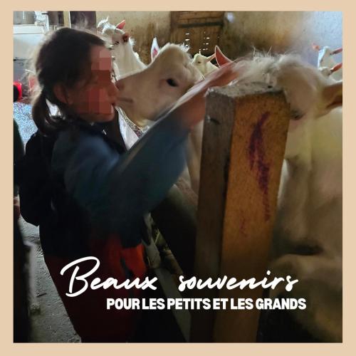 a woman is petting a cow in a barn at La Ferme du Solvat in Courcelon
