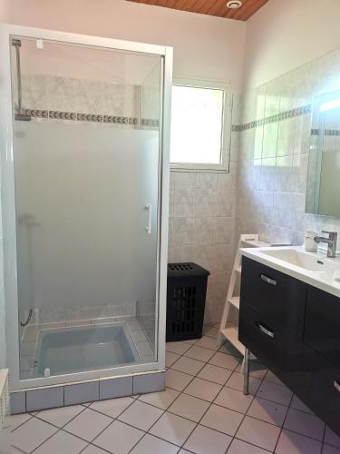 une salle de bain avec douche et lavabo dans l'établissement Maison entre Terre et Mer, à Saint-Jean-de-Marsacq