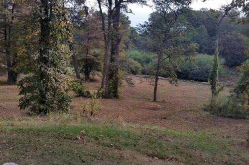 an elephant walking through a field with trees at Sunflower Cottage on the River in Clarksdale