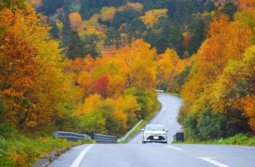 a car driving down a road with autumn trees at ANA InterContinental Appi Kogen Resort by IHG in Hachimantai