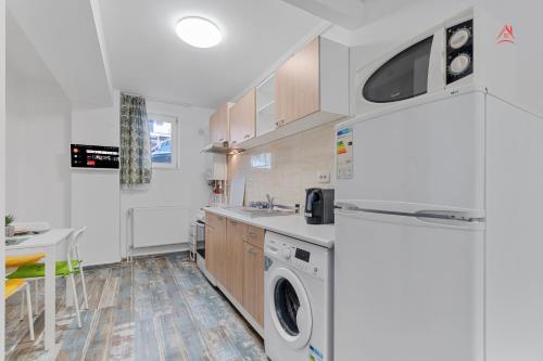 a kitchen with a washer and dryer in it at Petite Blue Apartment in Roşu
