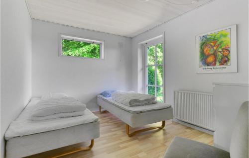 a bedroom with two beds and a window at Pet Friendly Home In Branderup J in Branderup