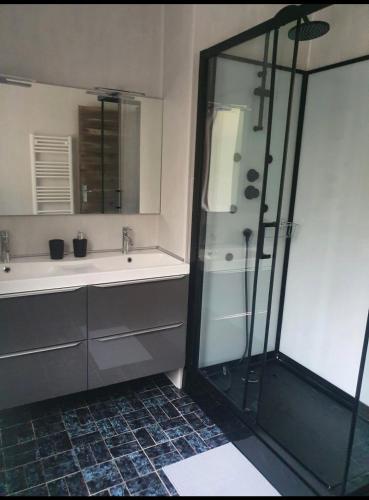 une salle de bain avec douche et lavabo dans l'établissement La maison dans les bois, à Crayssac