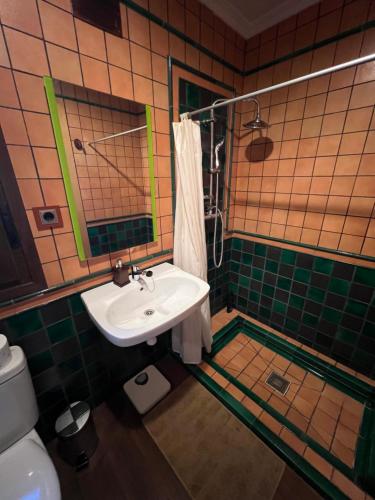 a bathroom with a sink and a mirror and a toilet at Villa Tranquila Lagunas de Ruidera in Ossa de Montiel