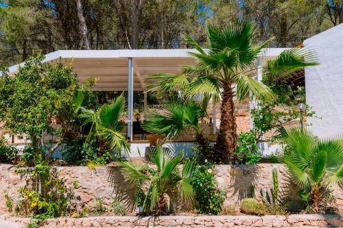 a palm tree in front of a building at Villa Alexa this charming villa is just a 10 min drive to either Playa Den Bossa or San Antonio in Sant Josep de Sa Talaia