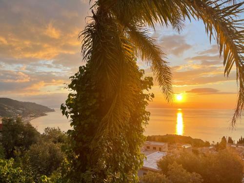 a sunset over the water with a palm tree at Villa des Arts - Taormina in Taormina