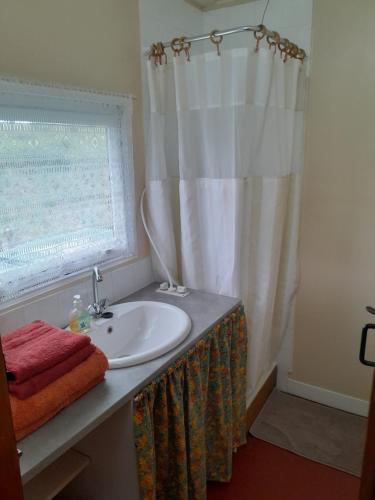 a bathroom with a sink and a shower curtain at Cuckoo Lake Forest Cabin in Saint-Vincent-Jalmoutiers